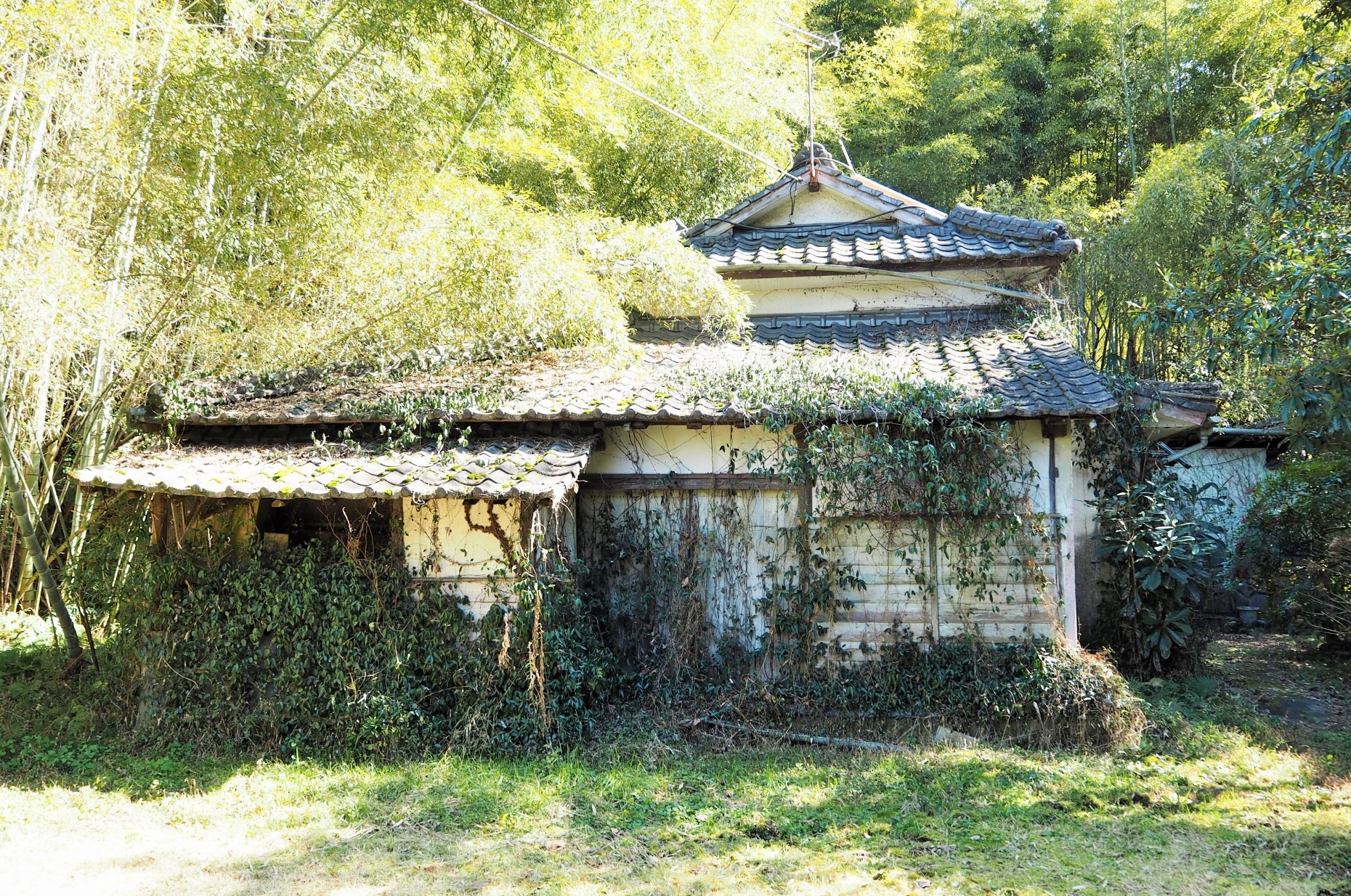 カード画像のキャプション3